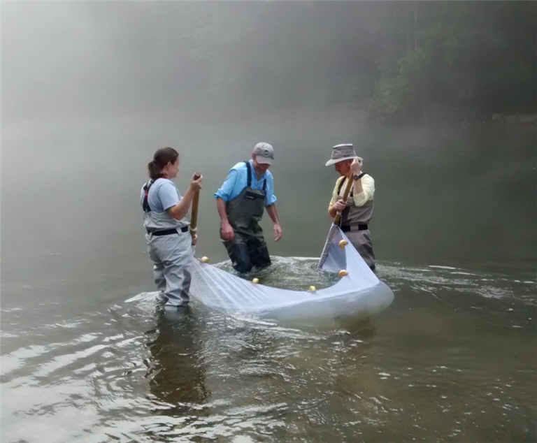 TTU Graduates help find and protect an endangered species