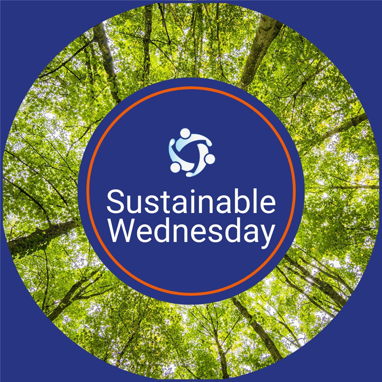 Sustainable Wednesday: Transitioning Language Schools to Digital Learning for a Greener Future