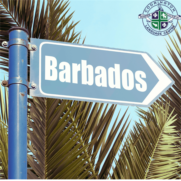 Unlocking Language and Adventure: The Codrington Language Centre in Barbados