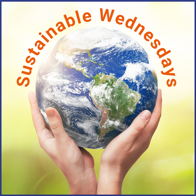 Sustainable Wednesday: How to Engage Students and Staff in Sustainability Efforts