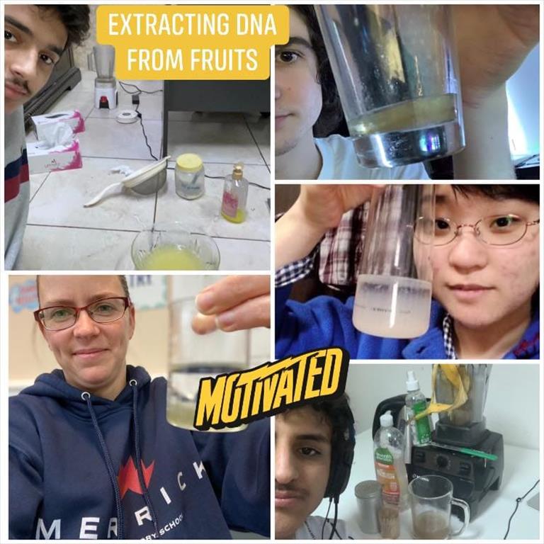 Grade 12 Science experiments hands-on learning synchronous live online