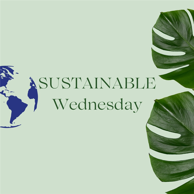 Sustainable Wednesday: 5 Tips for Reducing the Environmental Impact of Travelling to International Education Events
