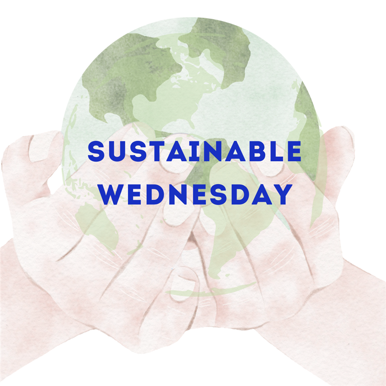 Sustainable Wednesday: Creating Sustainable Learning Spaces in International Schools
